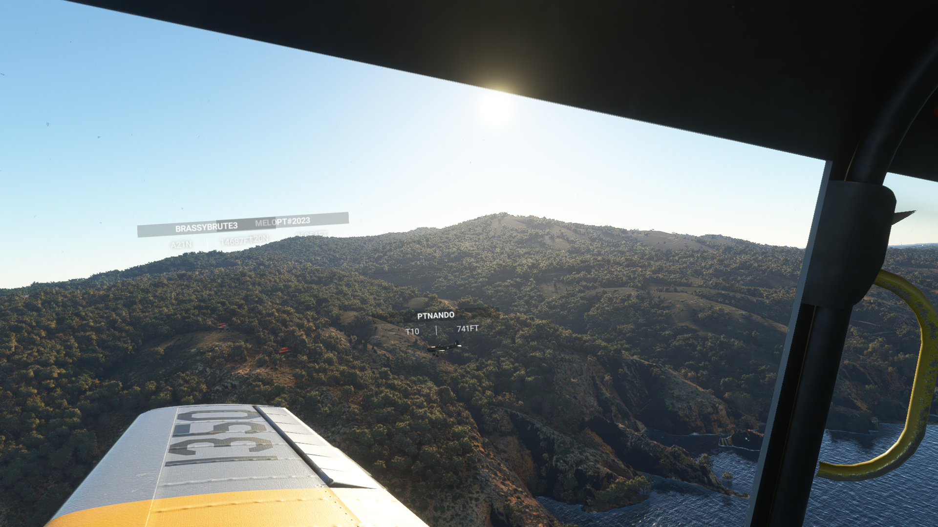 Microsoft Flight Simulator Screenshot 2022.07.10 - 00.42.16.86